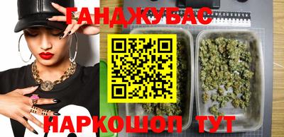 сатива Гатчина