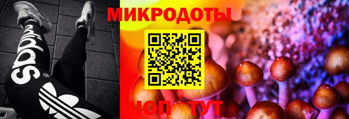 Валуйки  Галлюциногенные грибы прущие грибы  Вход с VPN 