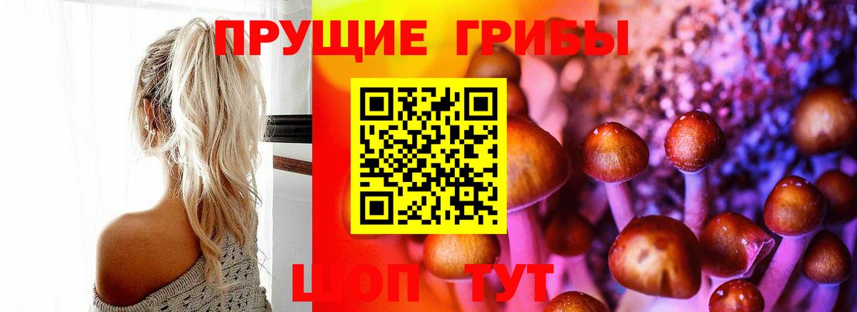 Галлюциногенные грибы Cubensis Валуйки